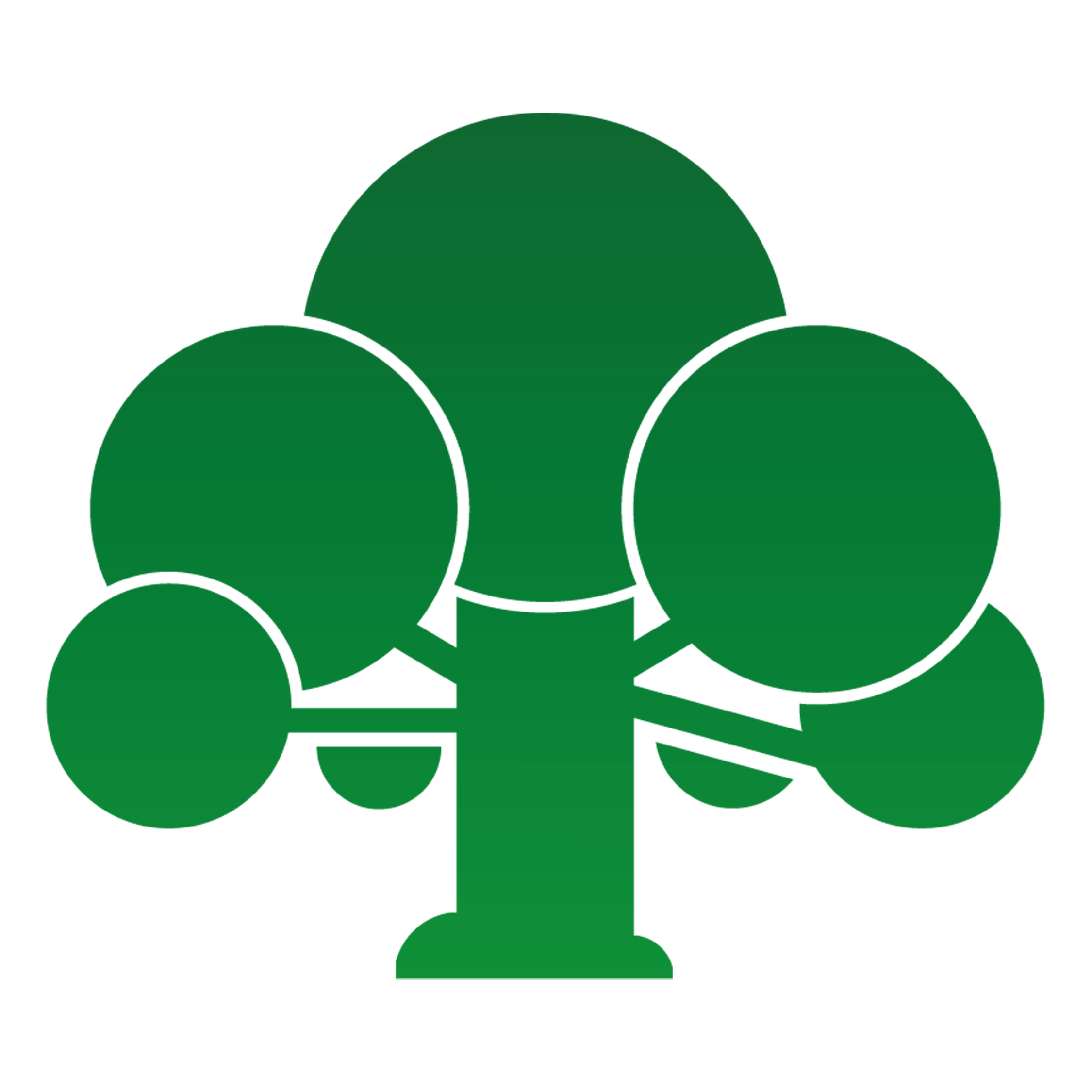 GRUPO EL OMBÚ